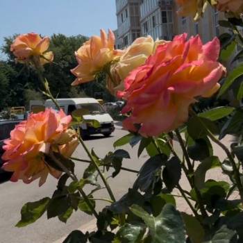 Продается 1-комнатная квартира, 37 м²