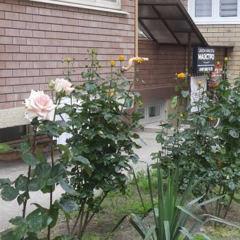 Продается 1-комнатная квартира, 20 м²