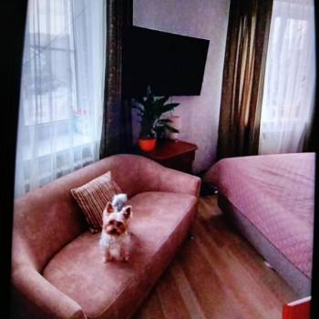 Продается 1-комнатная квартира, 40 м²