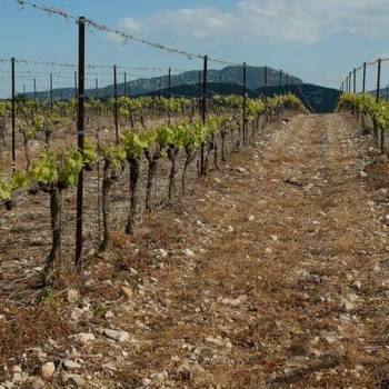 Продается Участок, 0 м²