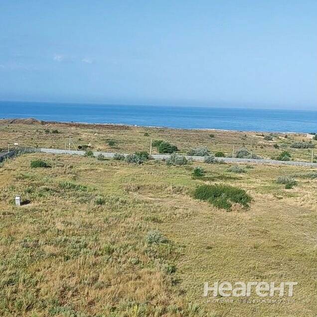 Фотография №2