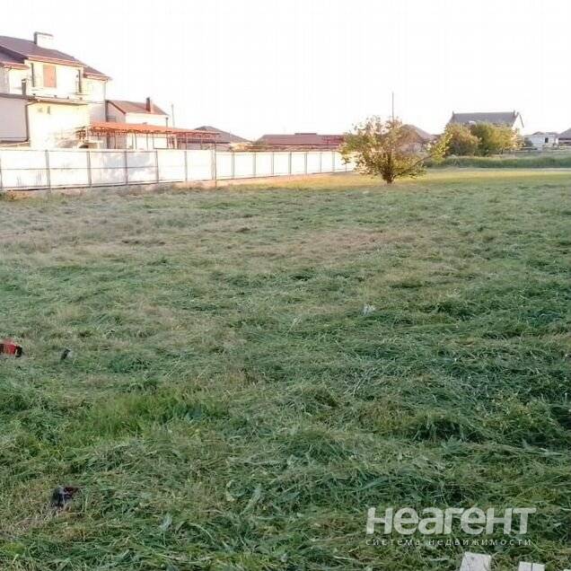 Фотография №2