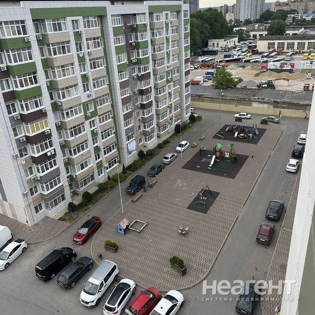 Фотография №2