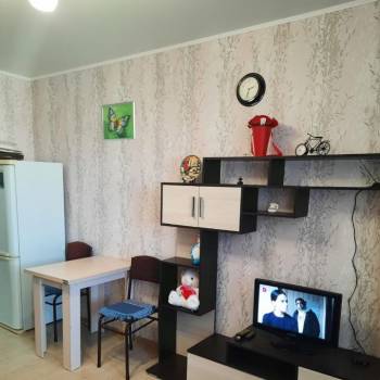 Сдается 1-комнатная квартира, 24 м²