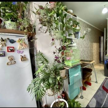 Продается 1-комнатная квартира, 31 м²