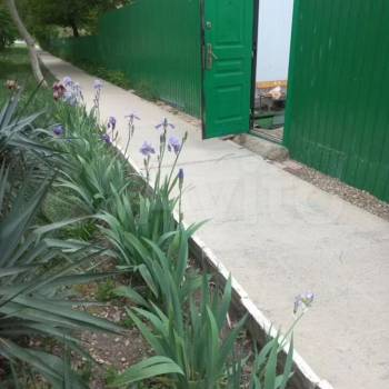 Сдается Многокомнатная квартира, 51 м²