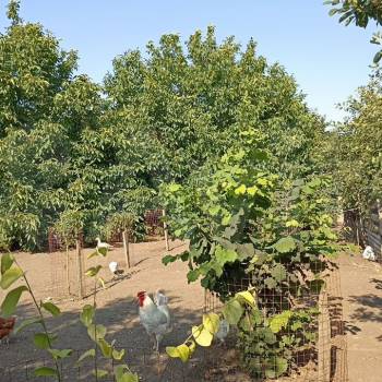 Продается Участок, 1000 м²