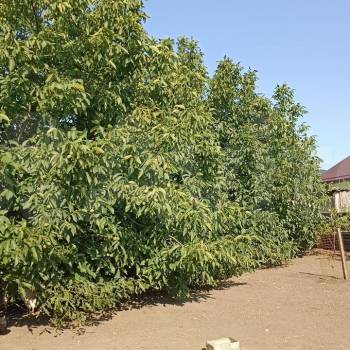 Продается Участок, 1000 м²