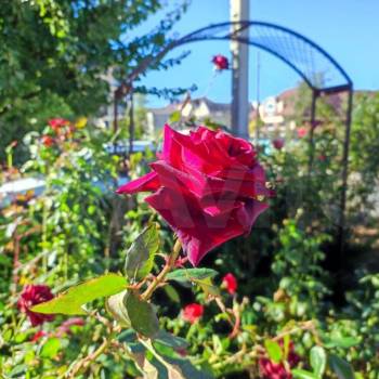 Сдается 1-комнатная квартира, 21,6 м²