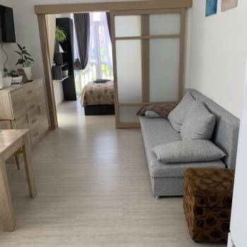 Сдается 1-комнатная квартира, 30,9 м²