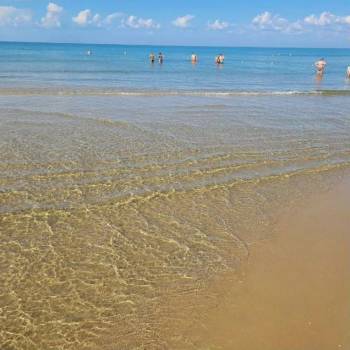 Продается Участок, 1000 м²