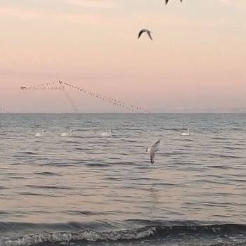 Сдается 1-комнатная квартира, 43 м²