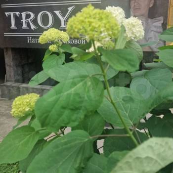 Сдается Нежилое помещение, 9 м²