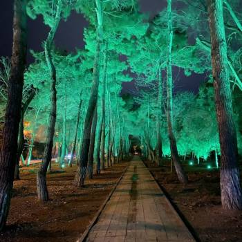 Сдается 1-комнатная квартира, 41 м²