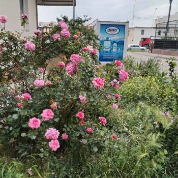 Продается 1-комнатная квартира, 37 м²