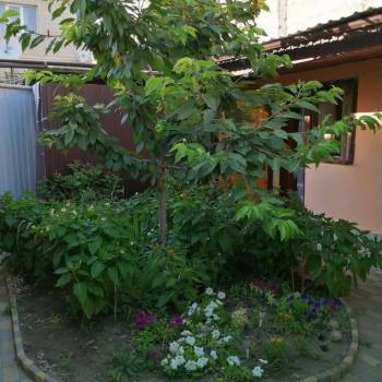 Сдается Комната, 12 м²