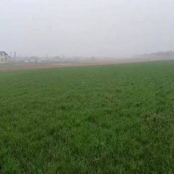 Продается Участок, 13200 м²