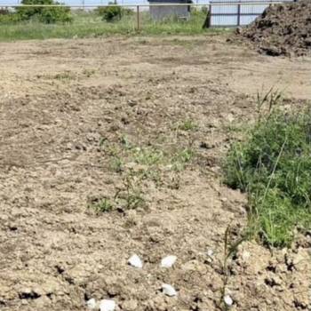 Продается Участок, 500 м²