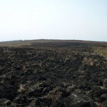 Продается Участок, 12970 м²