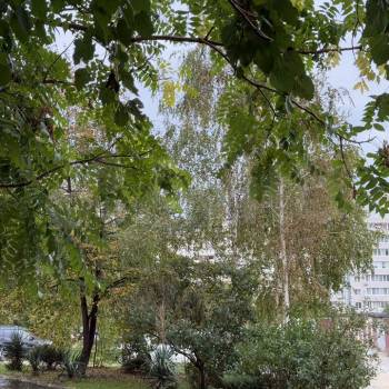 Продается Нежилое помещение, 123,7 м²