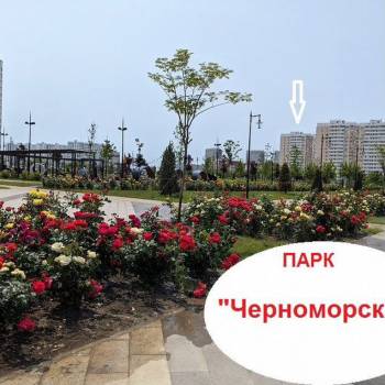 Сдается 1-комнатная квартира, 44 м²