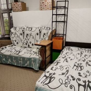 Продается 1-комнатная квартира, 16,5 м²