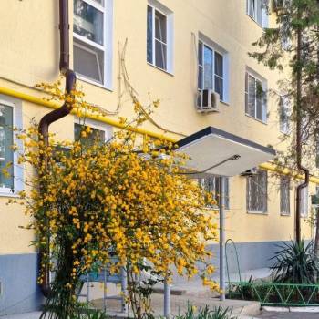 Сдается 1-комнатная квартира, 38 м²