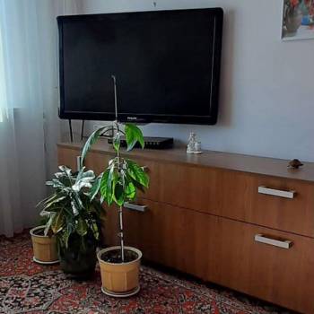 Сдается Комната, 15 м²