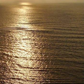 Сдается 2-х комнатная квартира, 95 м²