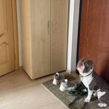 Сдается 1-комнатная квартира, 42 м²