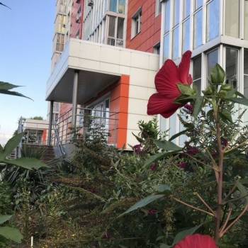 Продается 3-х комнатная квартира, 82 м²