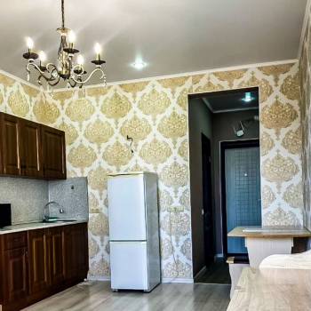 Сдается 1-комнатная квартира, 25,5 м²