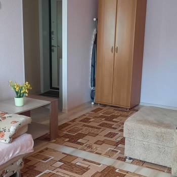 Сдается 1-комнатная квартира, 30,5 м²