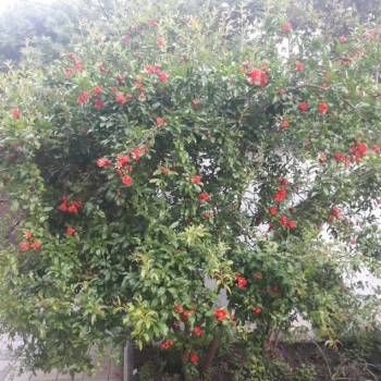 Сдается Комната, 20 м²