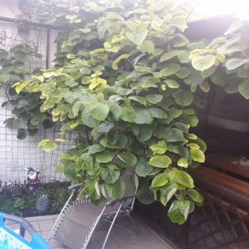 Сдается Комната, 20 м²