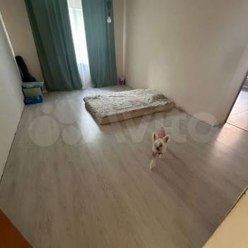 Продается Многокомнатная квартира, 81 м²