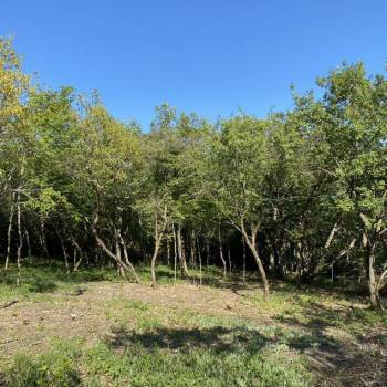 Продается Участок, 1500 м²