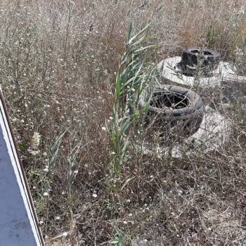 Продается Участок, 1000 м²