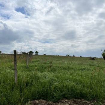 Продается Участок, 700 м²