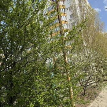 Продается 1-комнатная квартира, 41,5 м²