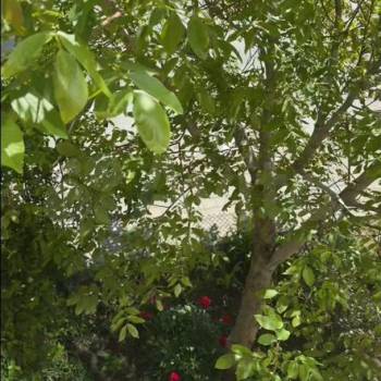 Продается 1-комнатная квартира, 41,5 м²