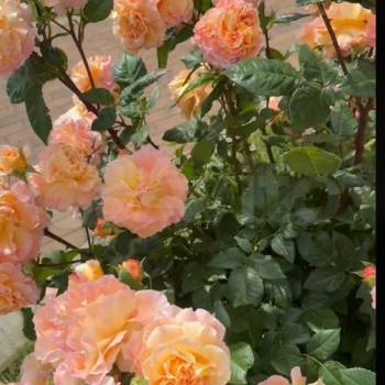 Продается 1-комнатная квартира, 41,5 м²