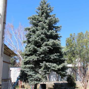 Продается Дом, 120 м²