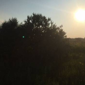 Продается Участок, 600 м²