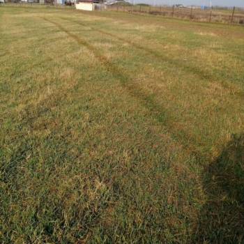 Продается Участок, 17000 м²