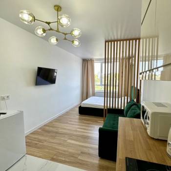 Продается 1-комнатная квартира, 26,1 м²