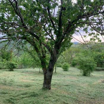 Продается Участок, 2400 м²