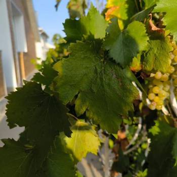 Продается Дом, 276 м²