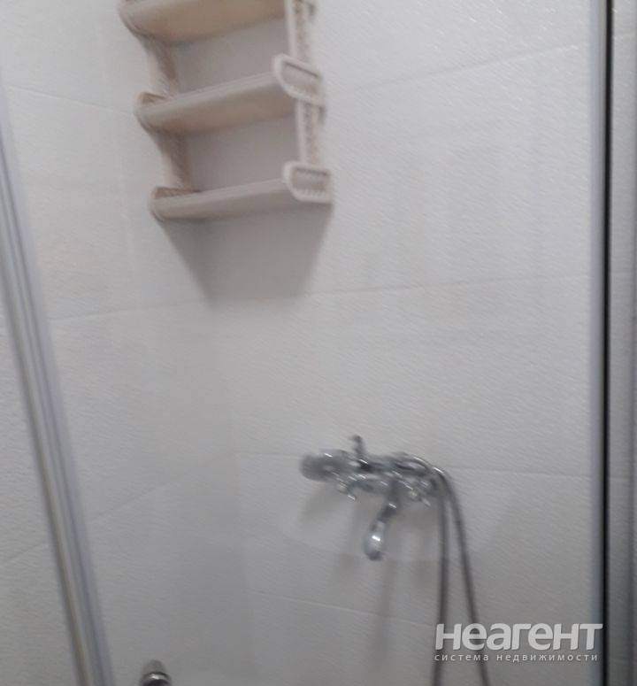 Фотография №3