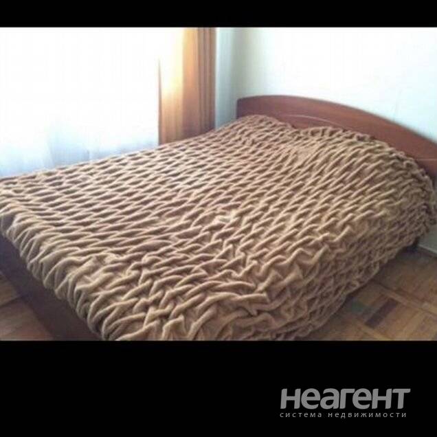 Фотография №3